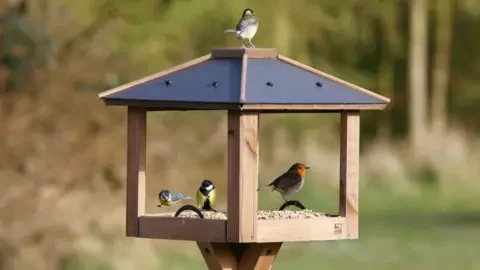 Nigel Blake / RSPB Four different birds including a robin red breast and tit  with yellow chest eating seeds from a flat  wooden bird table with a grey roof