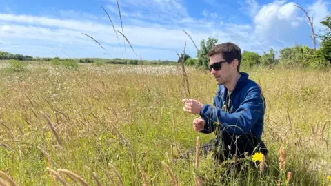 The National Botanical Garden of Wales Kevin kneels in a sunlit, grassy meadow, surrounded by tall seed heads and wildflowers, carefully inspecting a plant stem.