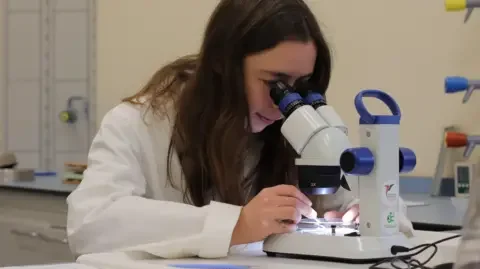 The National Botanical Garden of Wales A person wearing a white lab coat sits at a workstation and leans over a microscope, examining seeds or plant material under bright laboratory lighting.