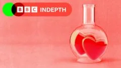 The science of soulmates: Is there someone out there exactly right for you?